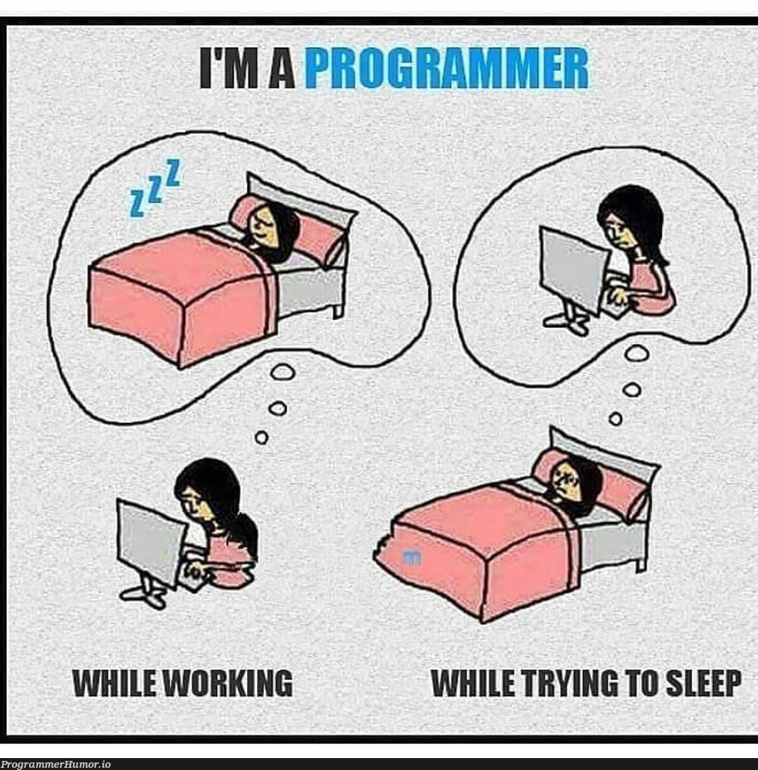 The programmer paradox.. | programmer-memes, program-memes, try-memes | ProgrammerHumor.io