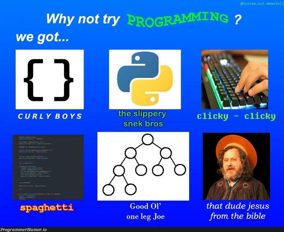 Why not try programming? | programming-memes, program-memes, try-memes, url-memes, curl-memes | ProgrammerHumor.io