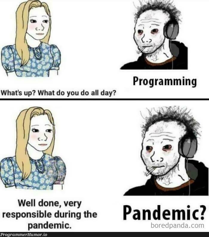 Pandemic? | programming-memes, program-memes | ProgrammerHumor.io