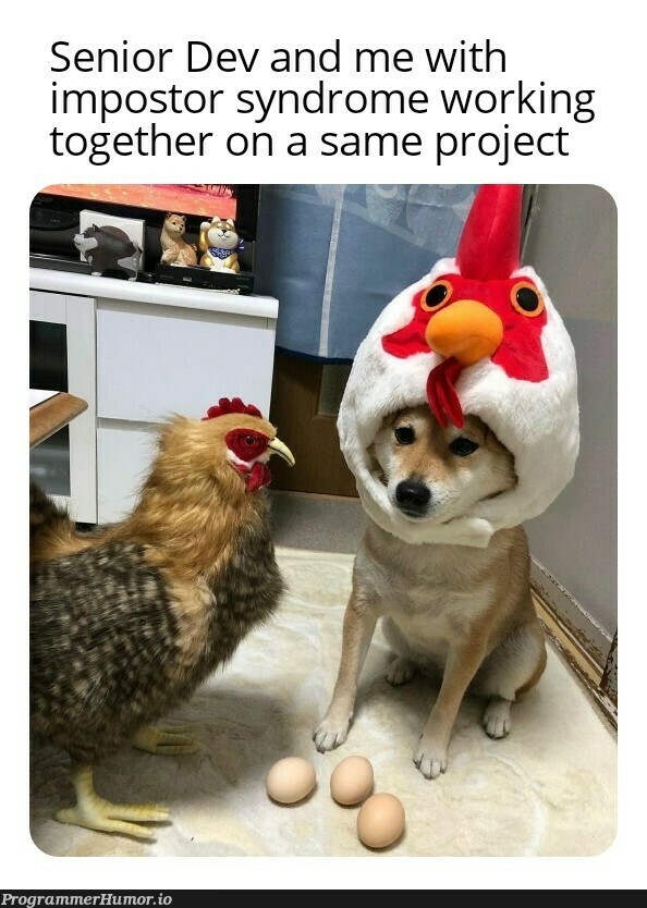 Gotta make those eggs | ProgrammerHumor.io