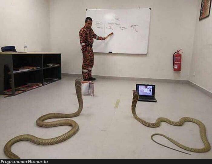 A Python class in India | python-memes, class-memes | ProgrammerHumor.io