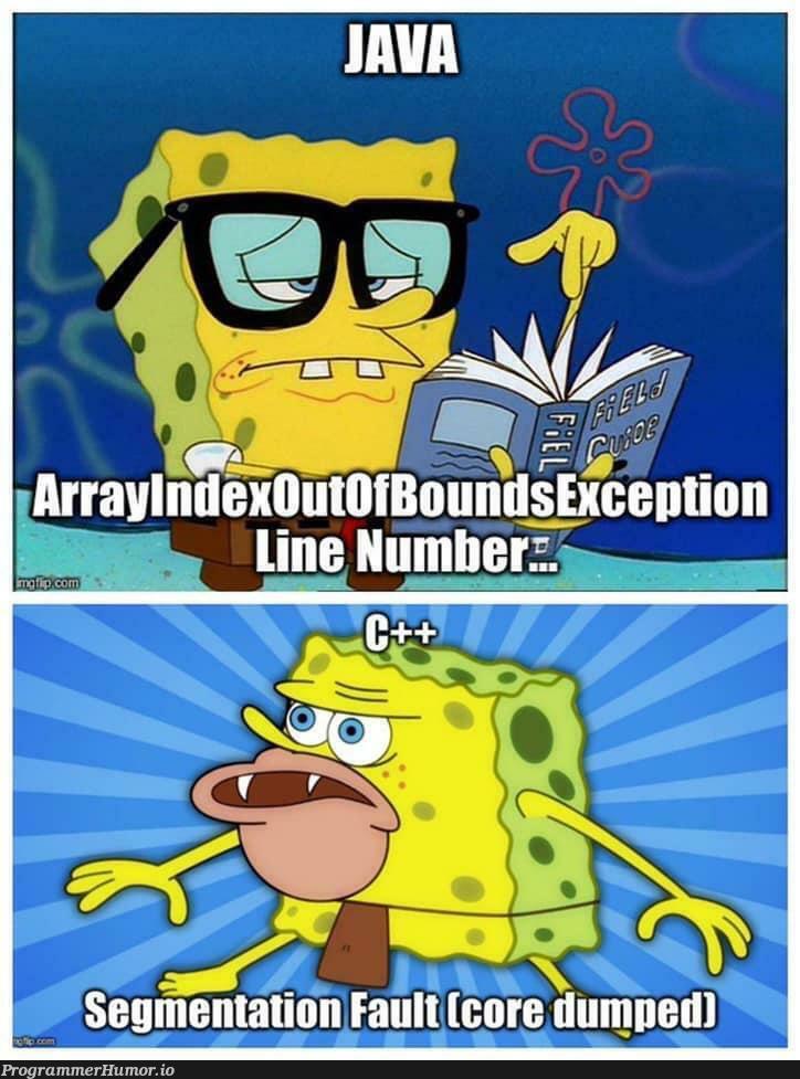 Cries in C++ | c++-memes | ProgrammerHumor.io
