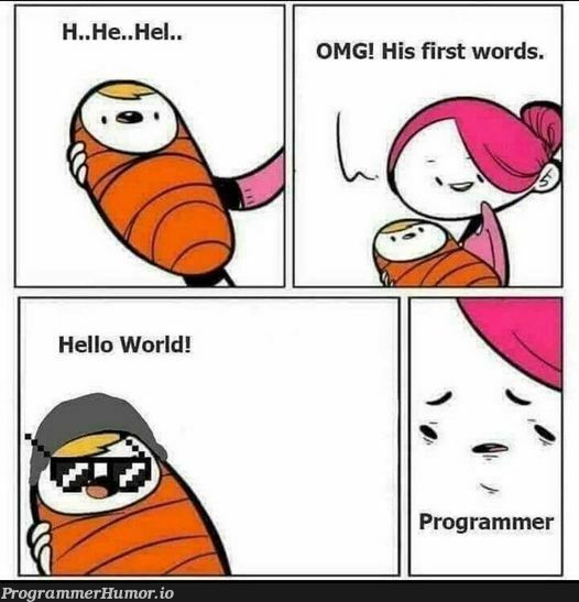 Programmer's Baby | programmer-memes, program-memes, rds-memes | ProgrammerHumor.io