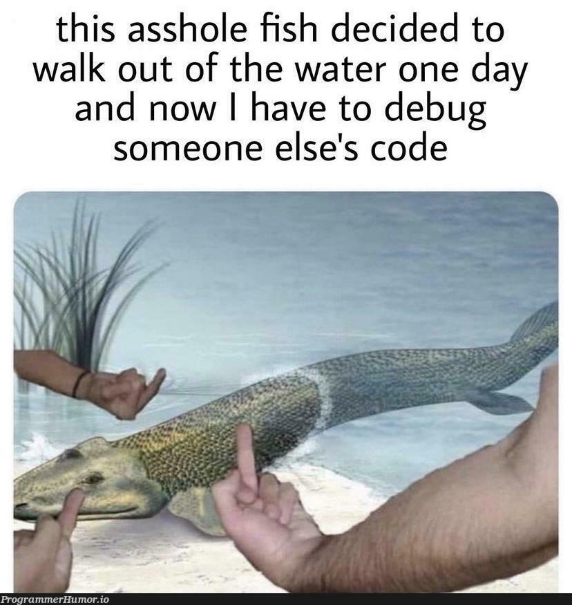 Reject Humanity, Return to Fish | code-memes, bug-memes, debug-memes, ide-memes, ssh-memes | ProgrammerHumor.io