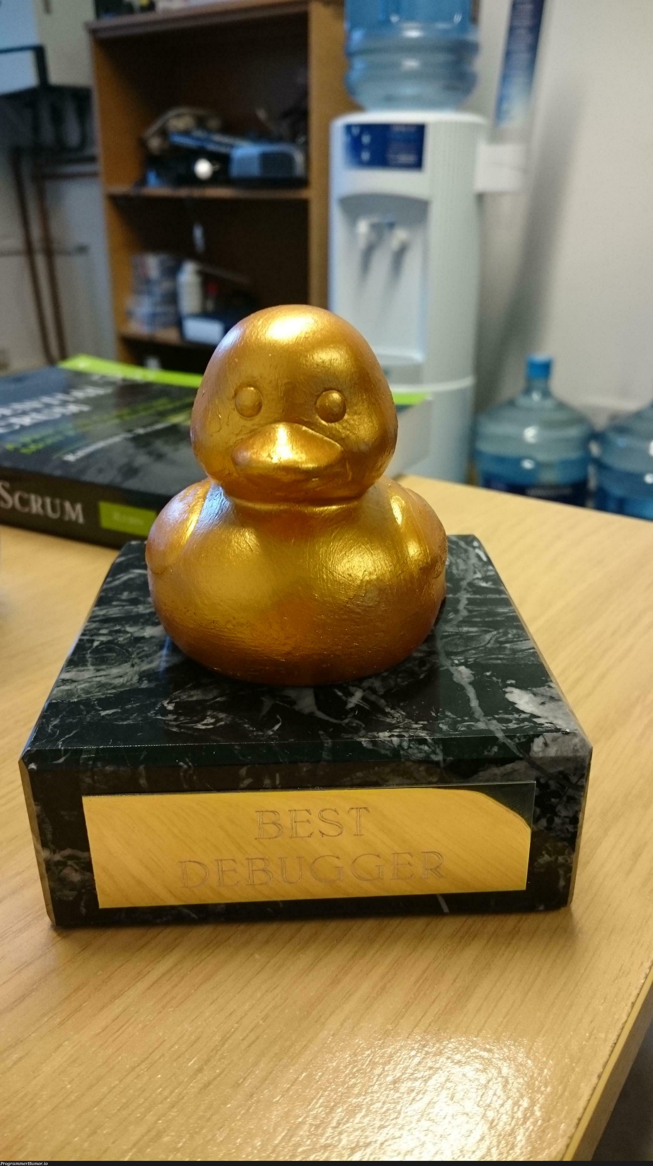 The golden rubber duck award of 'Best Debugger' | bug-memes, debug-memes, debugger-memes | ProgrammerHumor.io