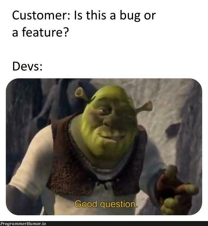 If you're asking the question its a feature | bug-memes, devs-memes, feature-memes | ProgrammerHumor.io