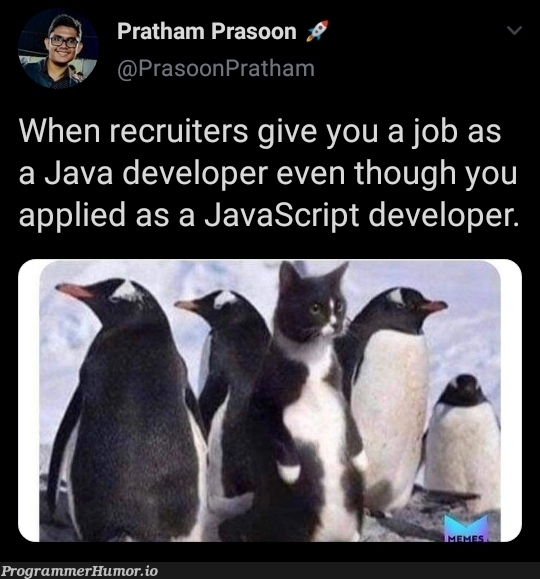 An interesting title | developer-memes, javascript-memes, java-memes, javascript dev-memes, rest-memes, recruiters-memes, recruit-memes | ProgrammerHumor.io