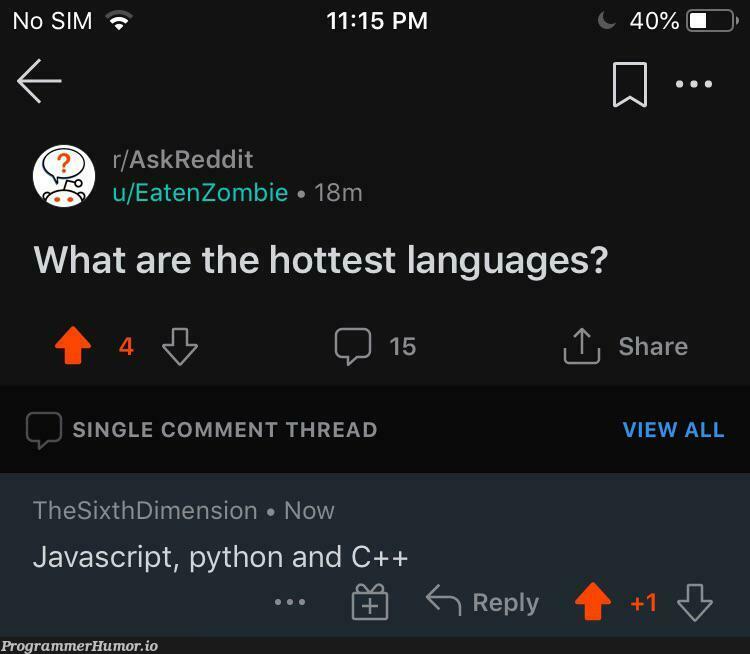 I mean he’s not wrong. | javascript-memes, java-memes, python-memes, c++-memes, test-memes, language-memes, comment-memes | ProgrammerHumor.io