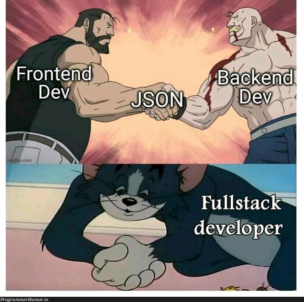 Big love for JSON | json-memes | ProgrammerHumor.io