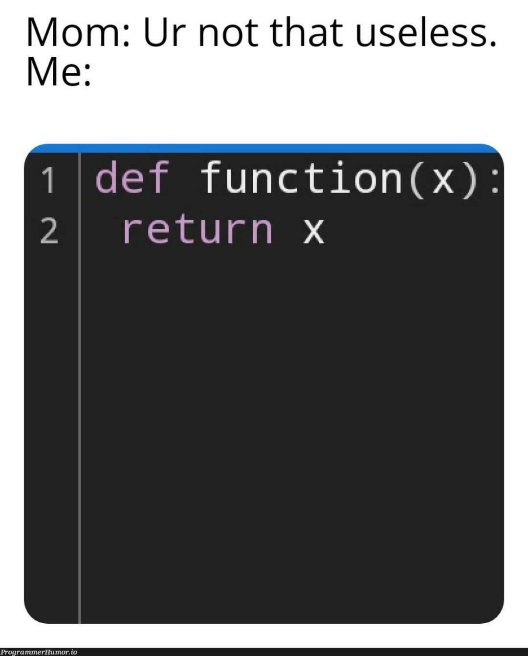 ima so useless v2 | function-memes | ProgrammerHumor.io