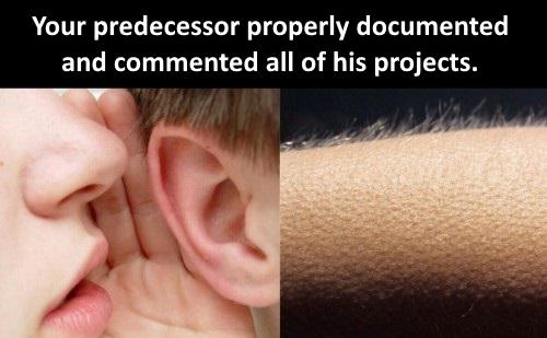 How to drive a programmer wild... | programmer-memes, program-memes, perl-memes, comment-memes | ProgrammerHumor.io