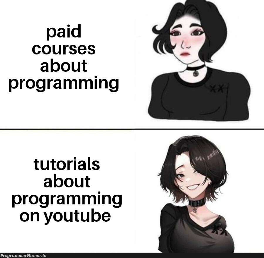 why should you buy paid courses if you have awesome content creators❤ on youtube that make amazing tutorials? | programming-memes, program-memes, youtube-memes | ProgrammerHumor.io