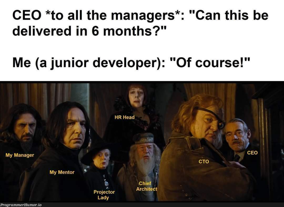 No problem at all, my good sir. | developer-memes, manager-memes | ProgrammerHumor.io