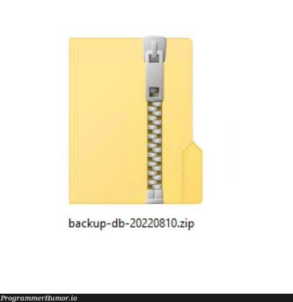 Sigh... *unzips* | ProgrammerHumor.io