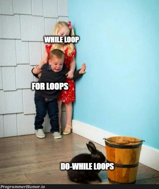 Does anyone use do-while loops? | loops-memes, oop-memes | ProgrammerHumor.io