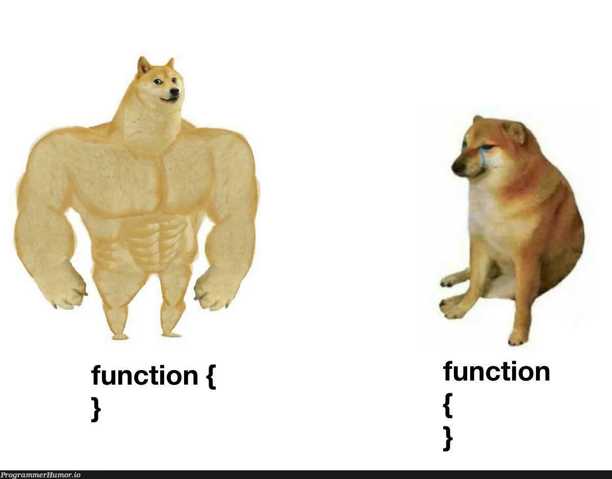 I was born this way | function-memes | ProgrammerHumor.io