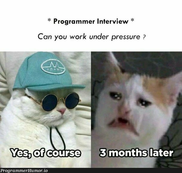 Can you work under pressure? | programmer-memes, program-memes, interview-memes | ProgrammerHumor.io