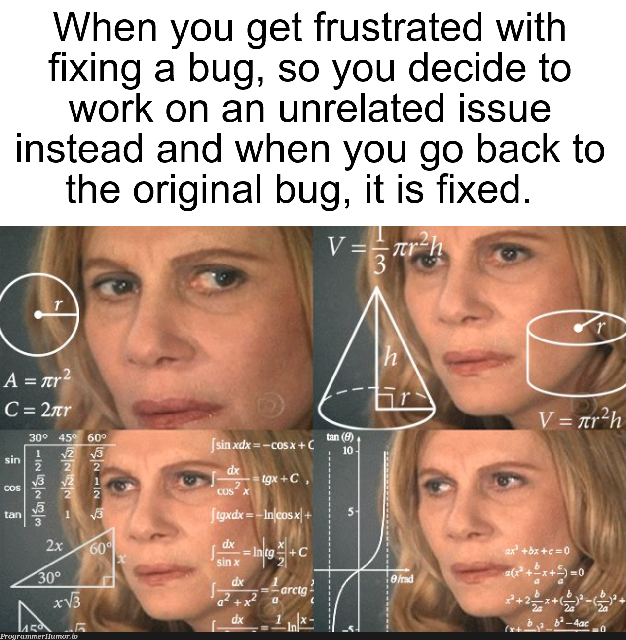 Cue confused celebration | bug-memes, fix-memes, IT-memes, ide-memes | ProgrammerHumor.io