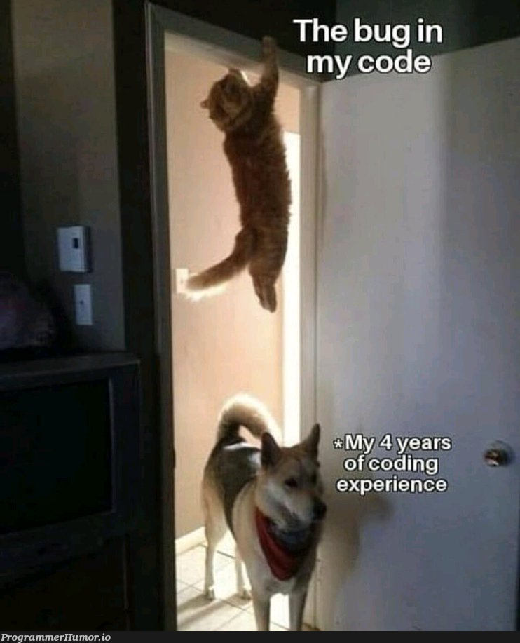 The accuracy of this tho | code-memes, bug-memes | ProgrammerHumor.io