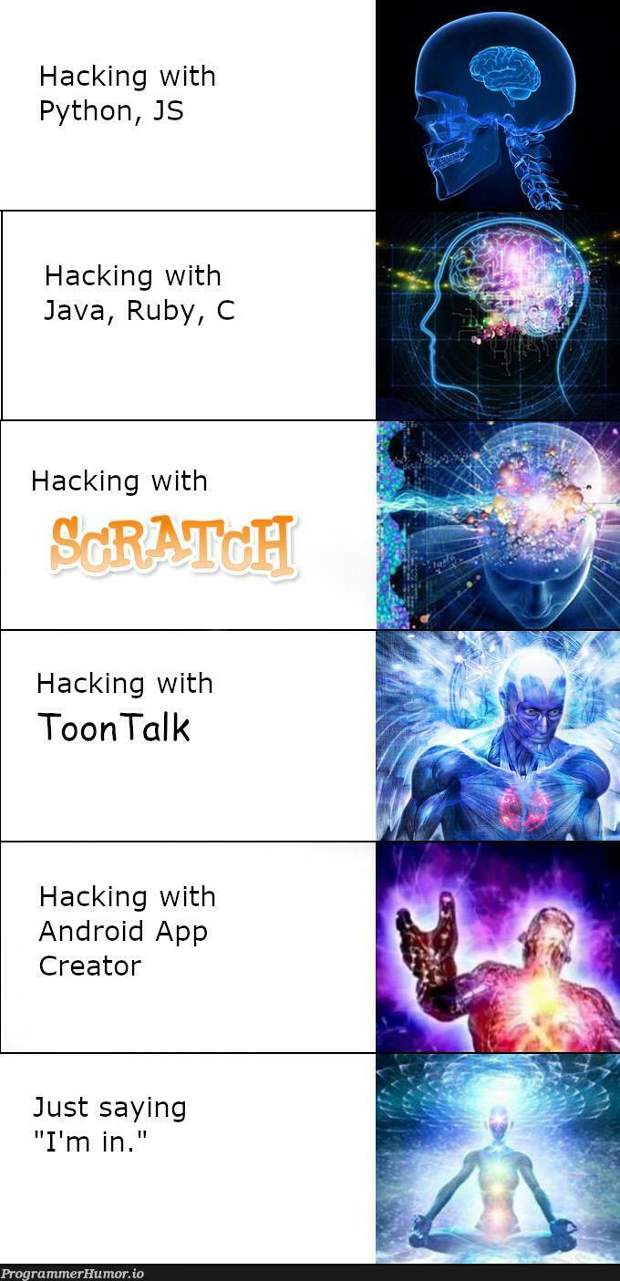 Best Languages for Hacking | java-memes, python-memes, hacking-memes, android-memes, ruby-memes, c-memes, js-memes, language-memes | ProgrammerHumor.io