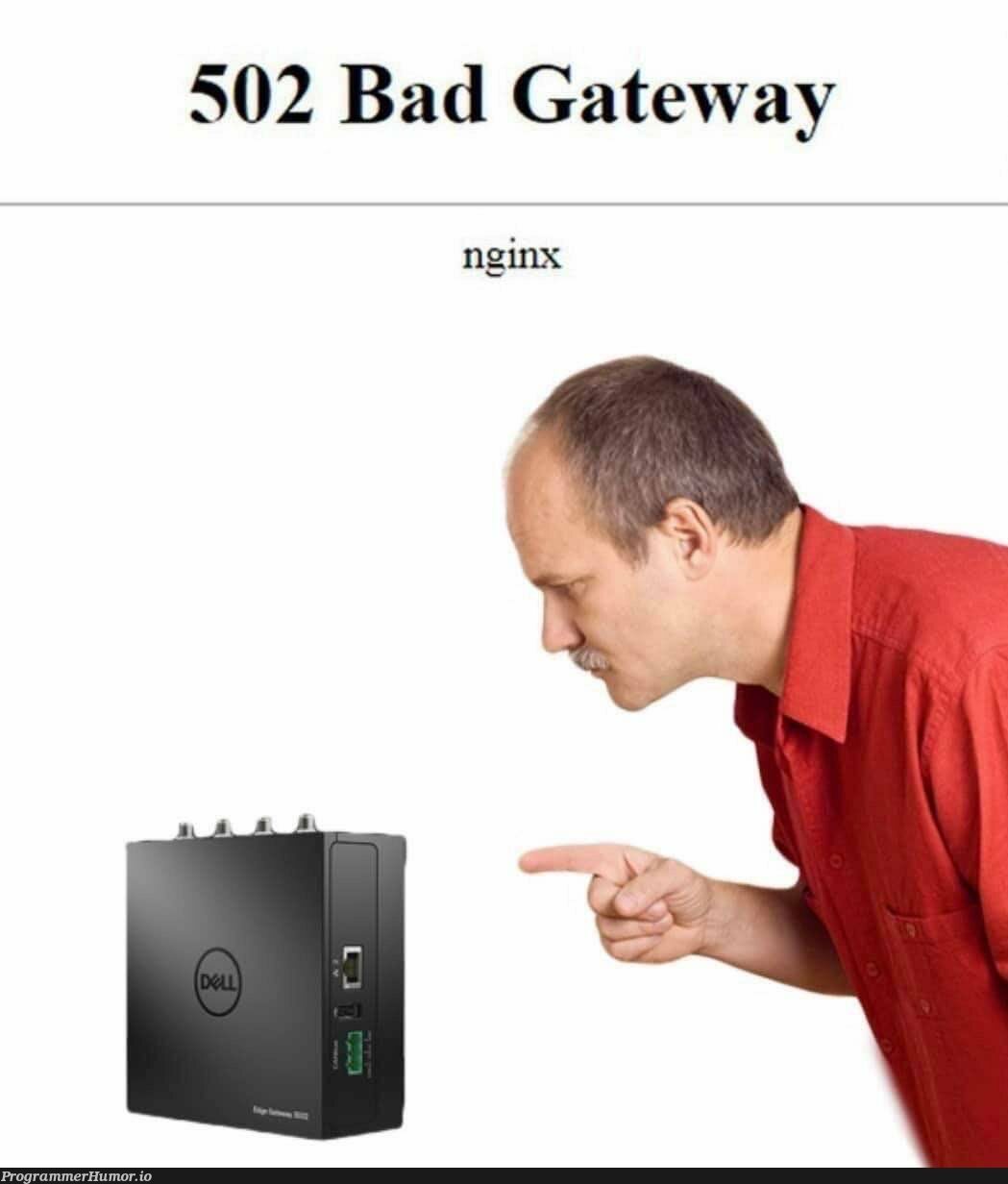 Gateways need shame cones | nginx-memes | ProgrammerHumor.io