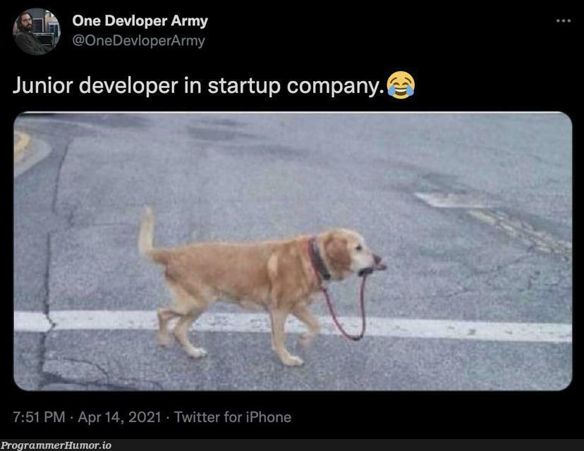 Who else feels the same? | developer-memes, iphone-memes, twitter-memes, startup-memes | ProgrammerHumor.io