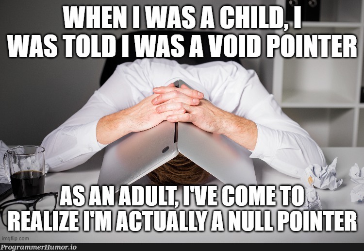 void pointers are full of mystery and potential | pointers-memes | ProgrammerHumor.io