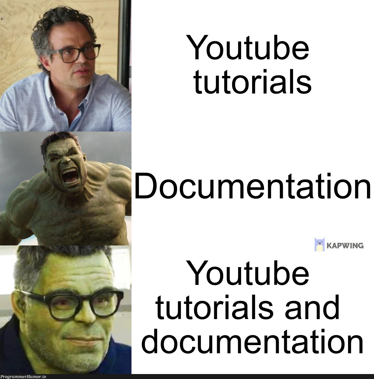 There is a third path to mastering programming | programming-memes, program-memes, documentation-memes, youtube-memes | ProgrammerHumor.io