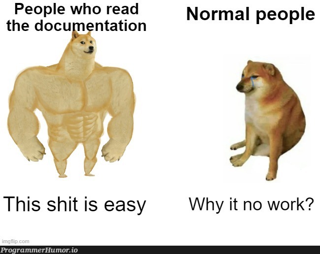 Normal people | IT-memes, documentation-memes | ProgrammerHumor.io