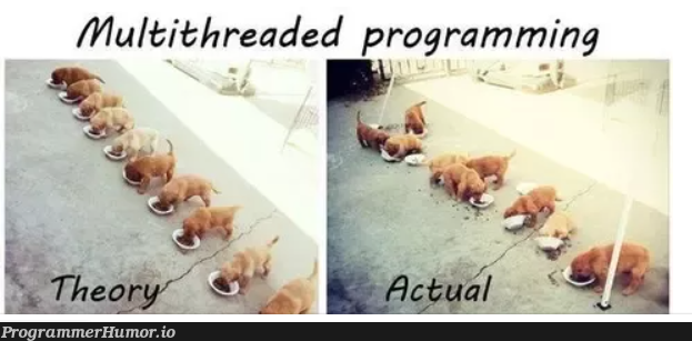 Multithreaded program explained using puppies | programming-memes, program-memes | ProgrammerHumor.io