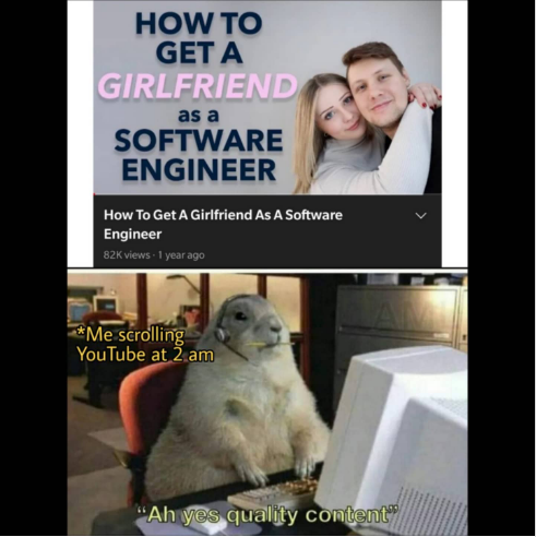 So you want a girlfriend? , go to algoexpert.io 🌝 | software-memes, engineer-memes, software engineer-memes | ProgrammerHumor.io