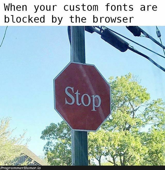 When your coustom fonts are blocked by the browser. | loc-memes, lock-memes | ProgrammerHumor.io