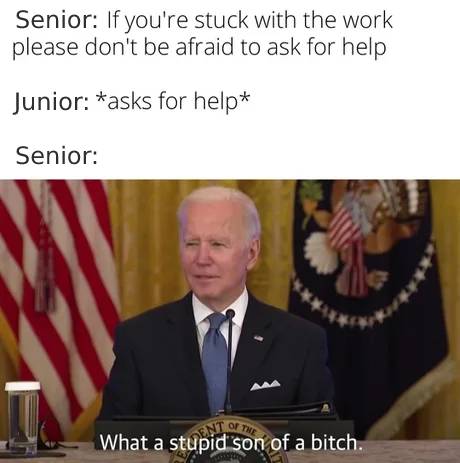 Be the senior you needed when you were a junior! | ProgrammerHumor.io