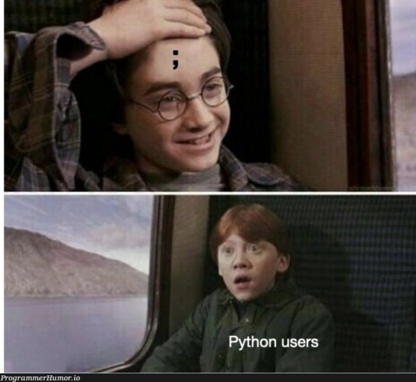 Python Users | python-memes | ProgrammerHumor.io