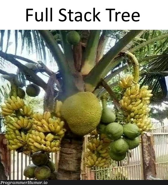 Full Stack Tree be like | stack-memes, full stack-memes | ProgrammerHumor.io