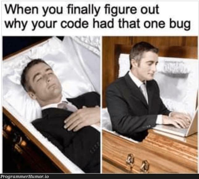 Coder Life | code-memes, coder-memes, bug-memes | ProgrammerHumor.io