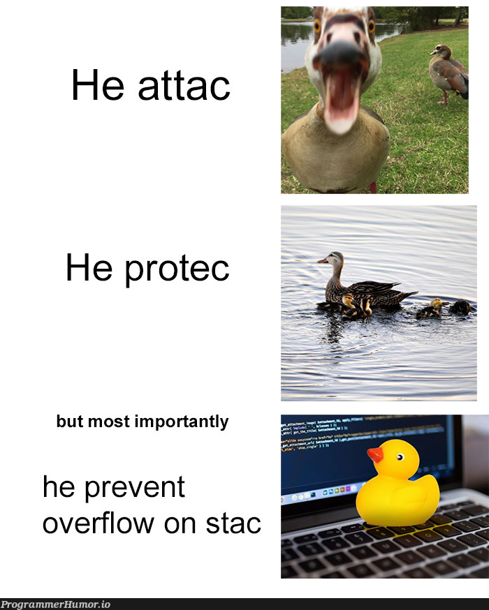 Rubber Duck Debugging | debugging-memes, bug-memes, debug-memes, overflow-memes | ProgrammerHumor.io