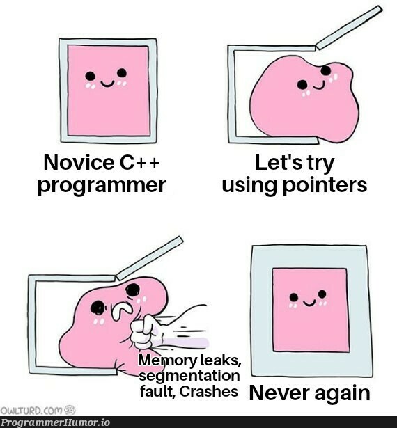 Switching over to Java thank you very much | programmer-memes, java-memes, program-memes, try-memes, c++-memes, pointers-memes, crash-memes | ProgrammerHumor.io