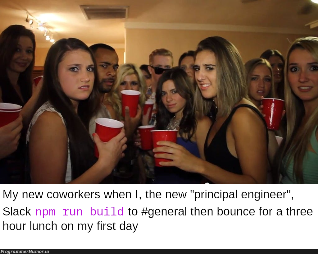 I told them I was a professional, but I didn't say at what | engineer-memes, slack-memes | ProgrammerHumor.io