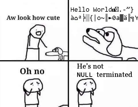 Oh no he's not UTF-8 encoded | code-memes | ProgrammerHumor.io