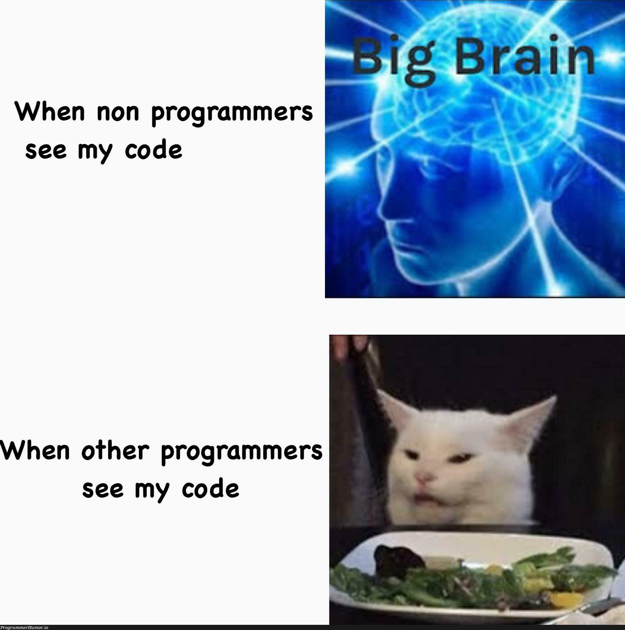 Programmers looking at my code : your code is disgusting | programmer-memes, code-memes, program-memes | ProgrammerHumor.io