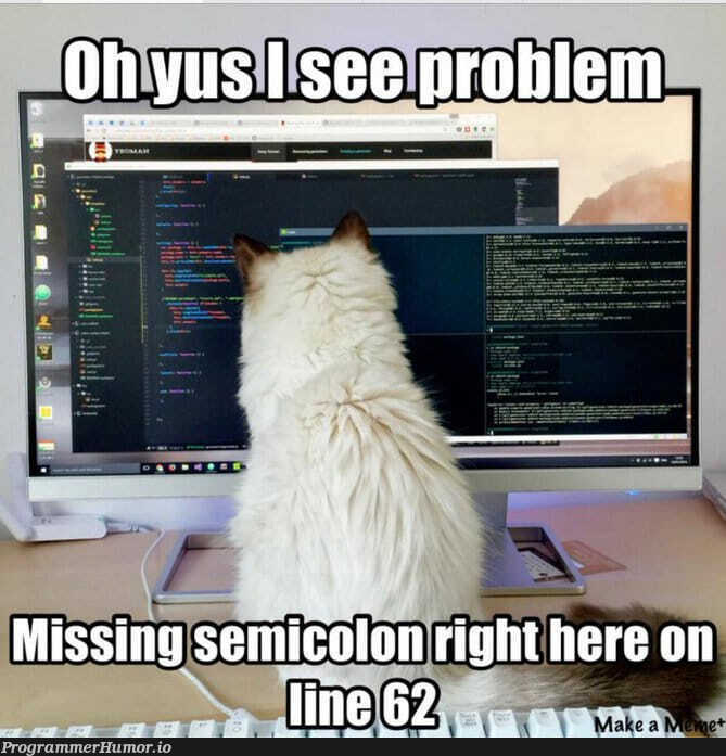 😺 | ProgrammerHumor.io