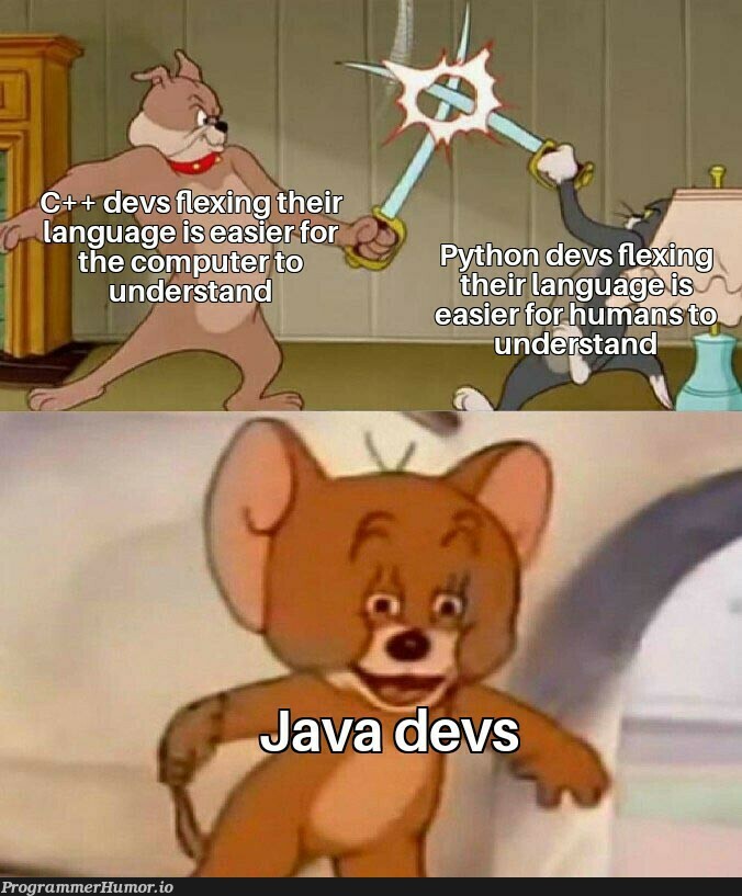 Neither can understand | devs-memes, language-memes | ProgrammerHumor.io