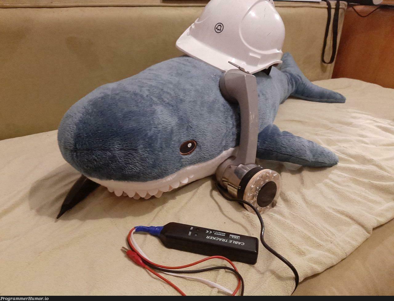 Wireshark or something I guess | ProgrammerHumor.io