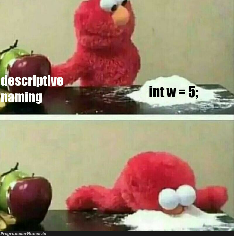 Naming convetions | ProgrammerHumor.io