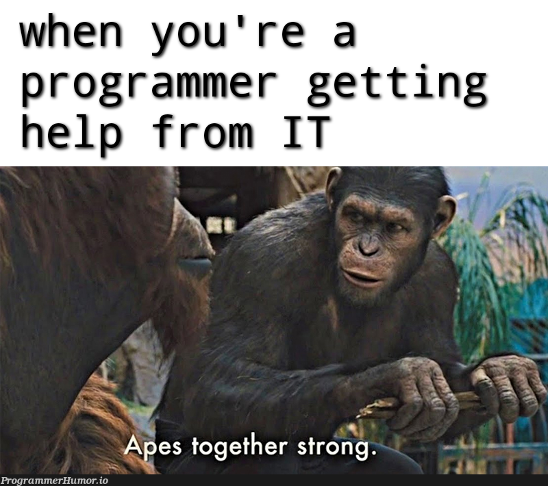 Two sides of the same coin | programmer-memes, program-memes, IT-memes, ide-memes | ProgrammerHumor.io