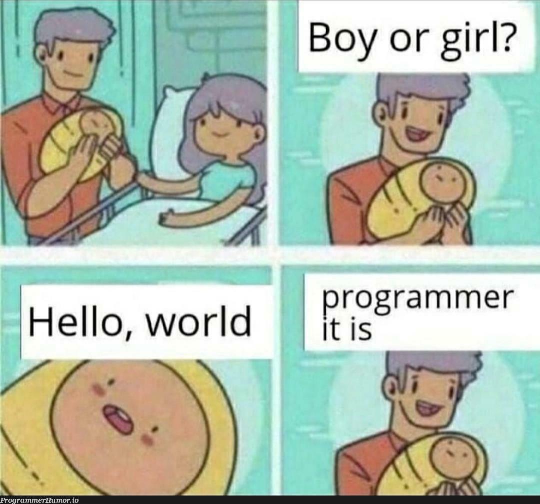 hello world | ProgrammerHumor.io