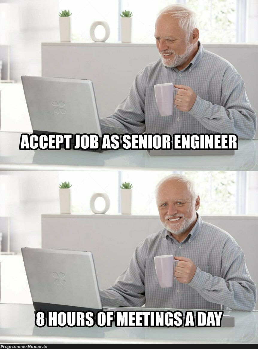 I see this happening to almost every senior software professional | software-memes | ProgrammerHumor.io