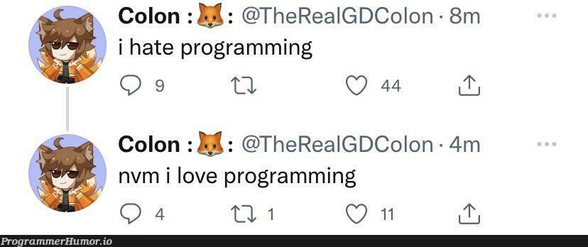 Every programmer ever | programming-memes, programmer-memes, program-memes, vm-memes | ProgrammerHumor.io