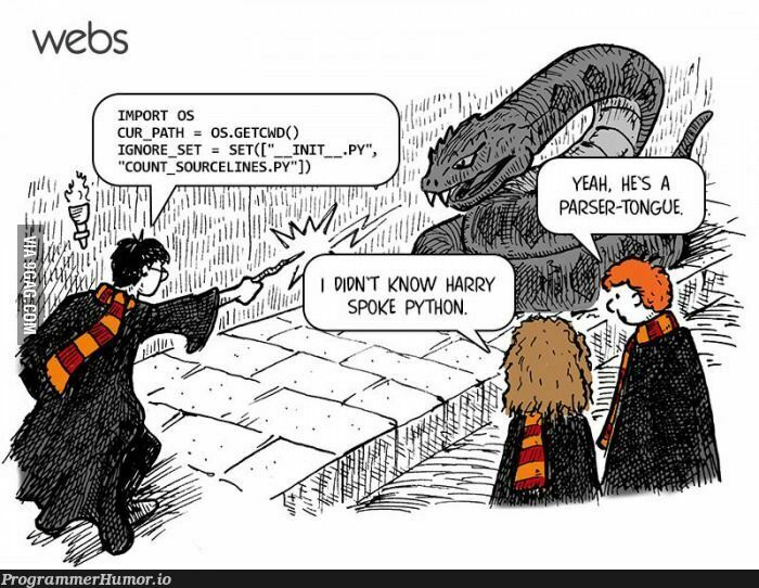 Harry Potter can code Python | code-memes, python-memes, __init__-memes | ProgrammerHumor.io